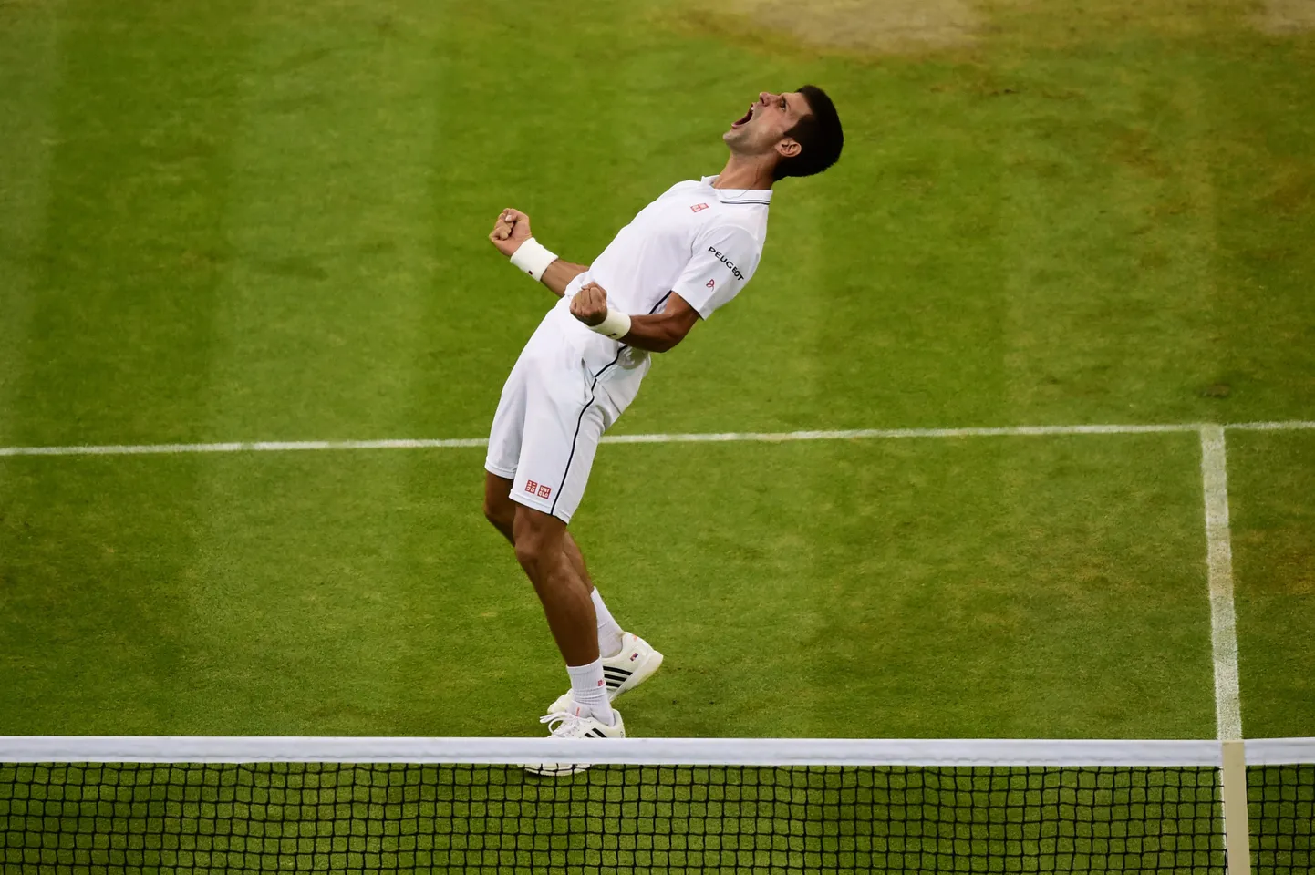 Novak Djokovic Wimbledoni turniiril võitu tähistamas.
