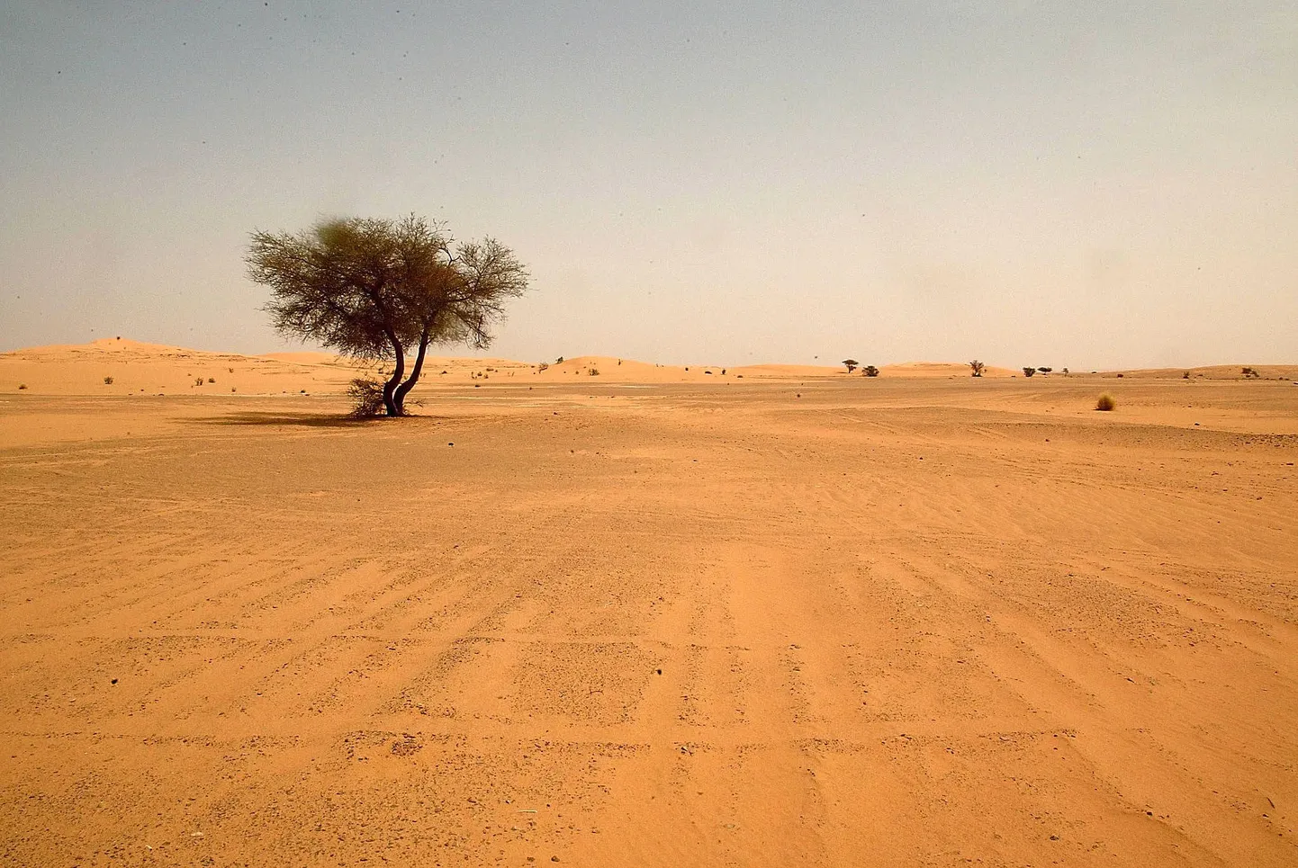 Aafrika kõrb