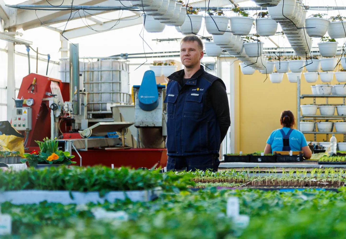 Kanepi aiandi tegevjuhi Margus Vahtramäe sõnul teeb praegune lumerohkus teda veidi murelikuks, kuid ettevalmistused kevadeks on täies hoos ja lilletaimede valik rikkalik.