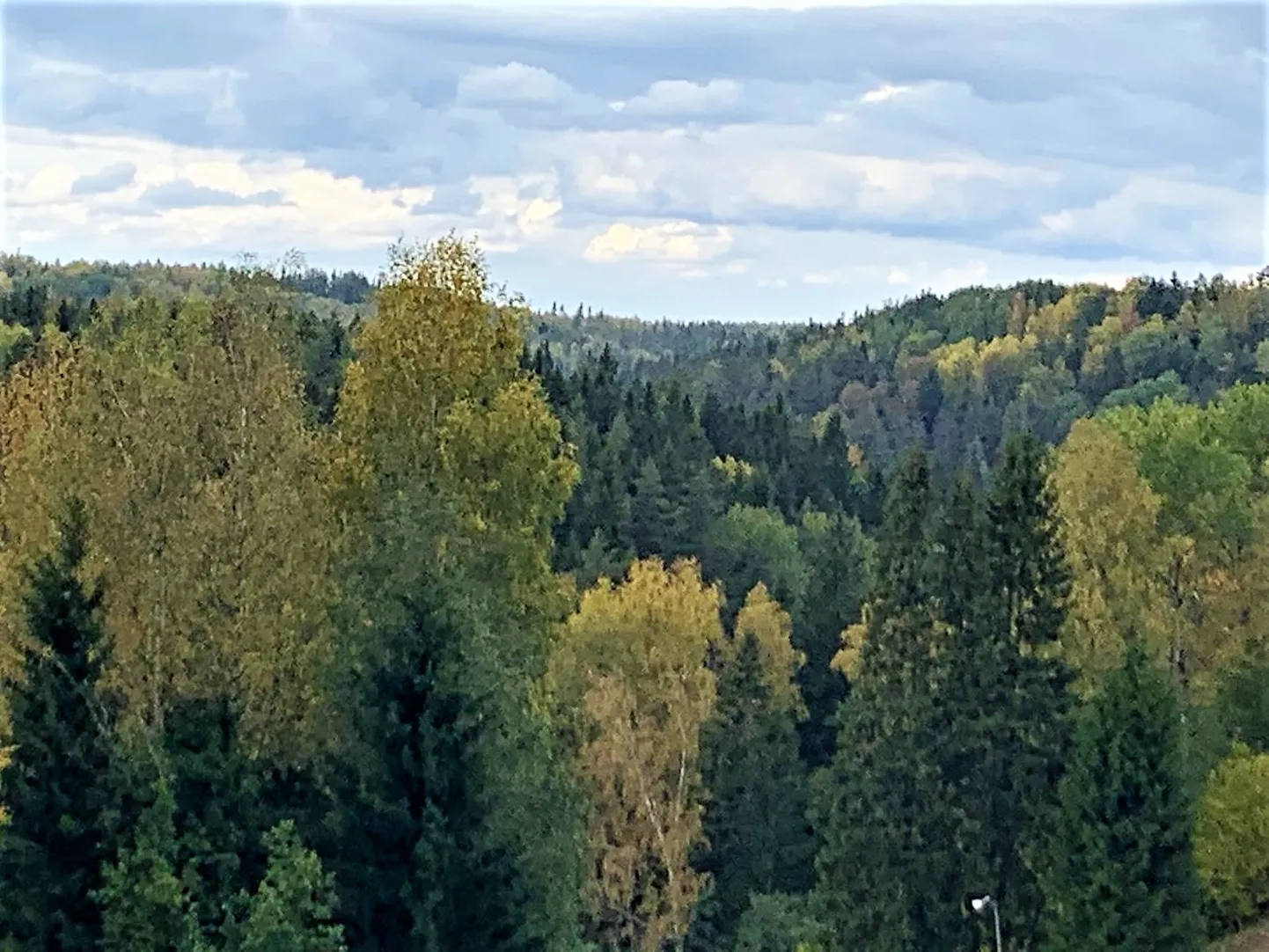 Kütioru Ohakalik sügisvaade.