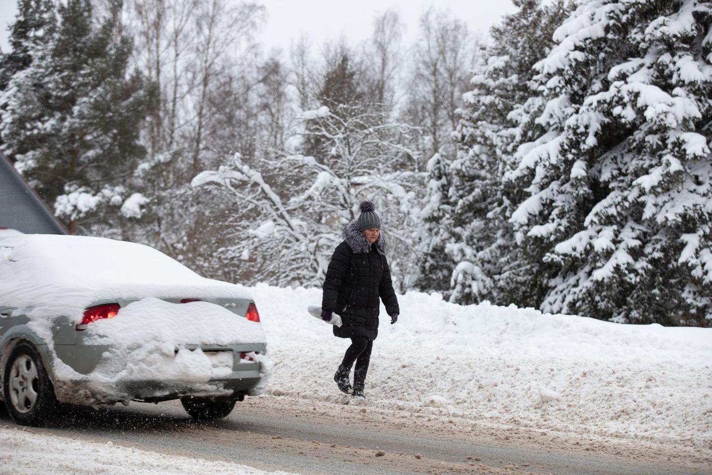 Kõnniteed on lund täis, nii peavadki jalakäijad trotsima ohte autode vahel sõiduteel.
