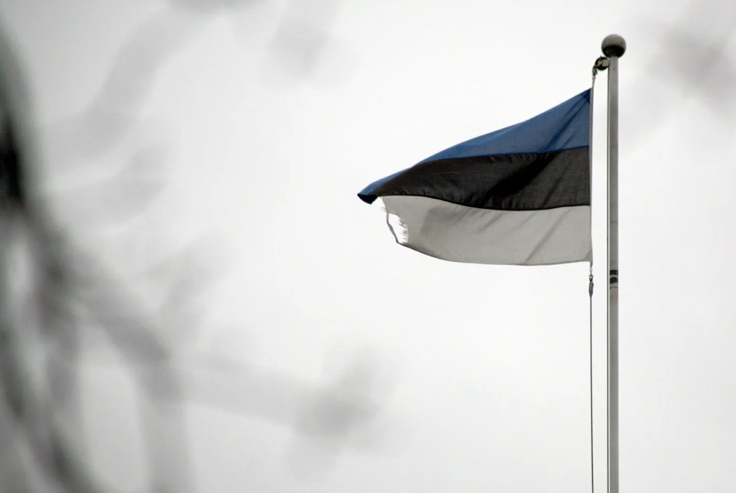 2. veebruar on Eestis lipupäev.