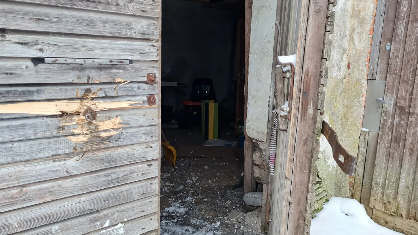 Artikli foto