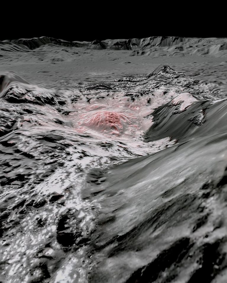 NASA mosaiikpilt kääbusplaneet Cerese Occeatori kraatrist, millel sool on selle rõhutamiseks värvitud roosaks