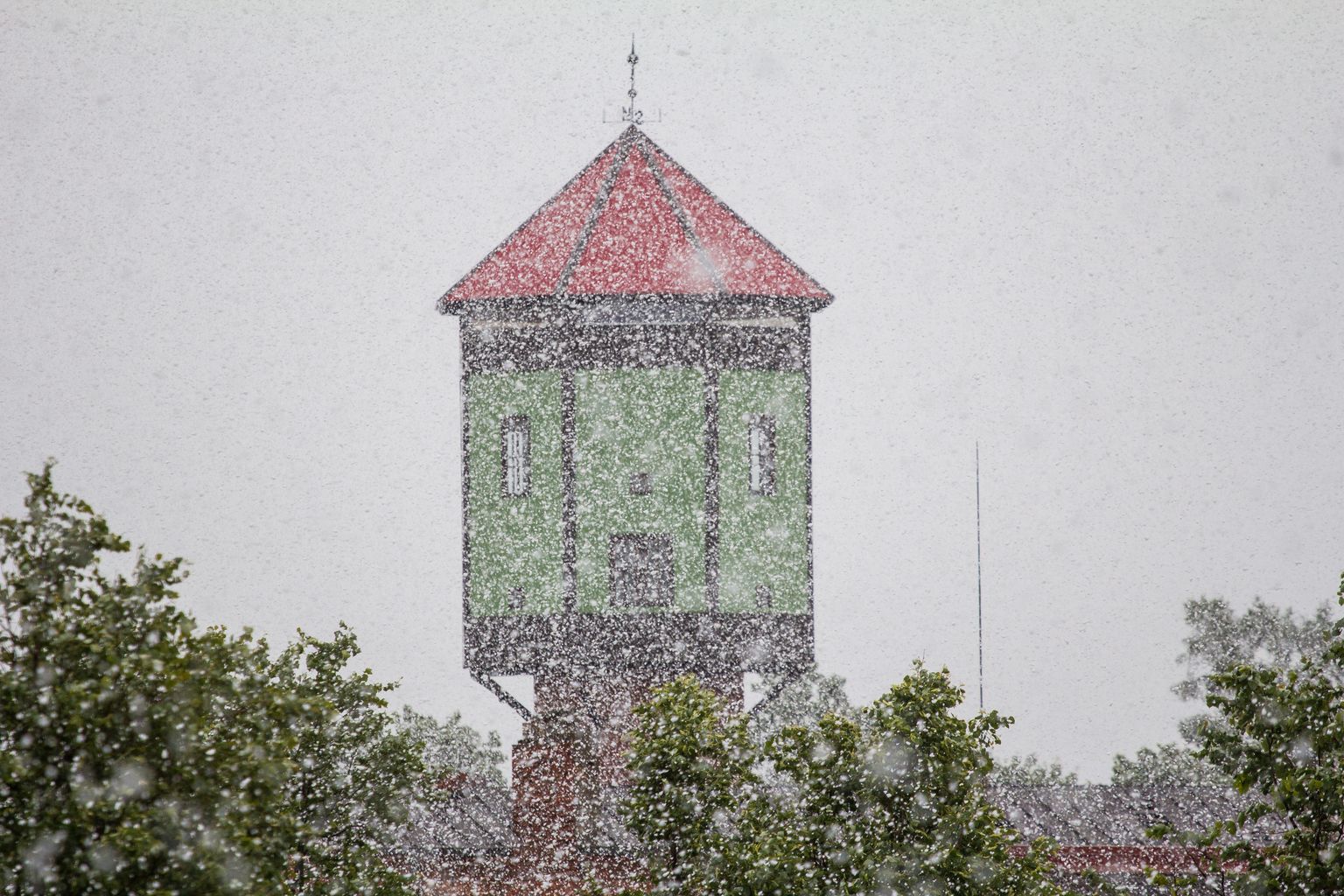 Vahel võib ka juunikuu lumega üllatada: meenutus 2014. aasta suvest Viljandis.