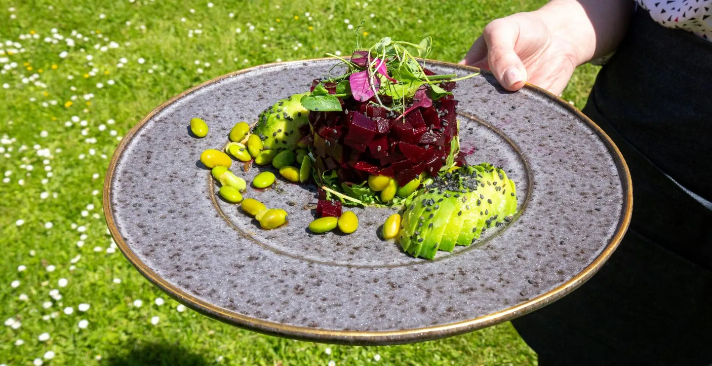 Viljandis Ingeri majas avati veganirestoran Villa Maria.