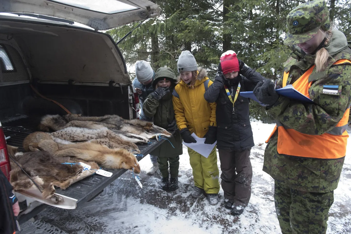 Laupäeval seiklesid Halliste kooli ümbruses noorkotkad ja kodutütred ning koolipere, et proovile panna oma nutikust ja teadmisi Kärstna lahingu mälestusmängus.