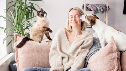 7 üllatavat viisi, kuidas lemmikloom su elu tervemaks ja õnnelikumaks muudab