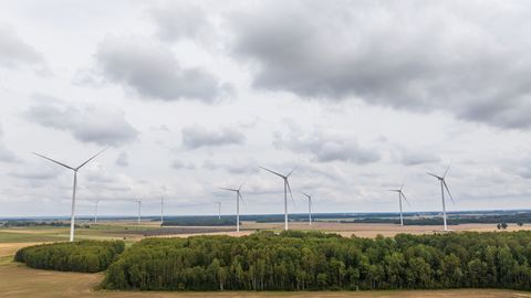 Elektri hind oli juunis mullusest poole kallim: napib kohalikku soodsat tootmist
