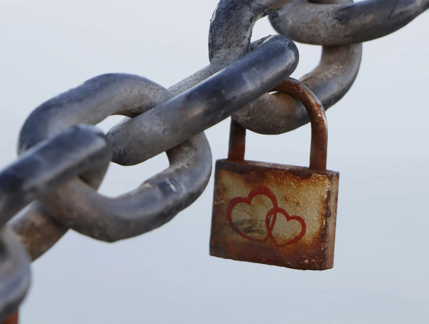 See võib siduda kokku partnerid, kellest keegi poleks osanud seda oodata.