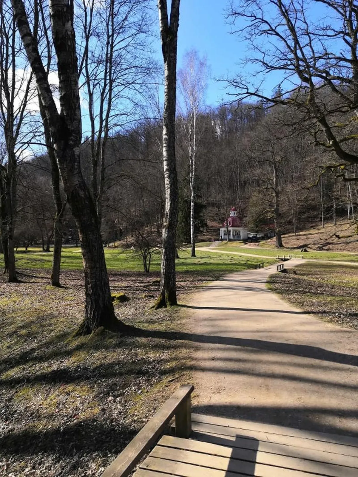 Фото статьи