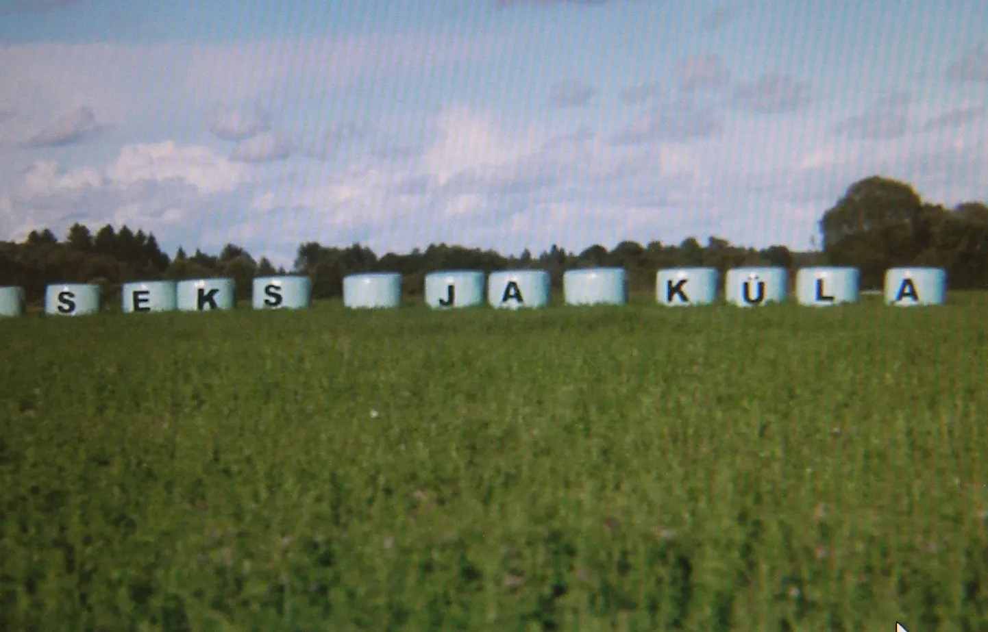 Seks ja küla