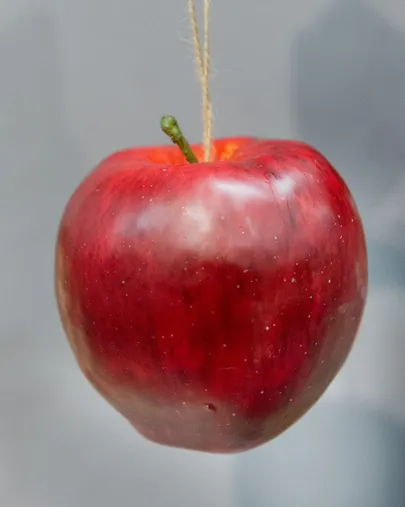 Artikli foto