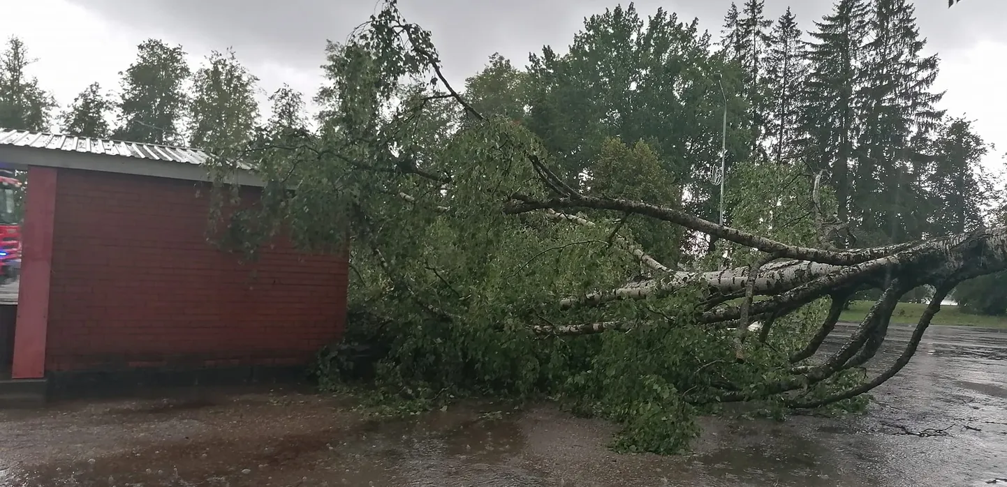 Murdnud kask Räpina bussijaama juures