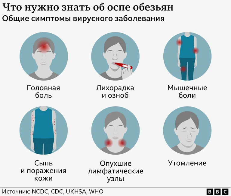 Фото статьи