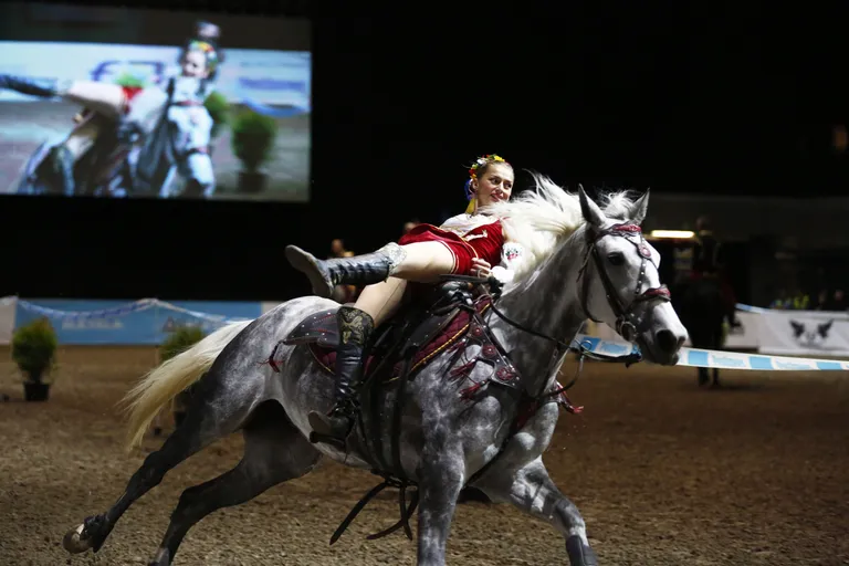 Erinevad hobuetendused ja showd on Tallinn Horse Show lahutamatu osa. 2016. aastal andsid meeldejääva etenduse Ukraina kasakad.