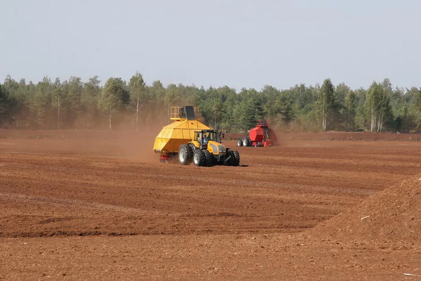 Turbatootjatele on enim meelt mööda soojad, mõõdukalt tuulised suveilmad. Tänavu selliseid nappis.