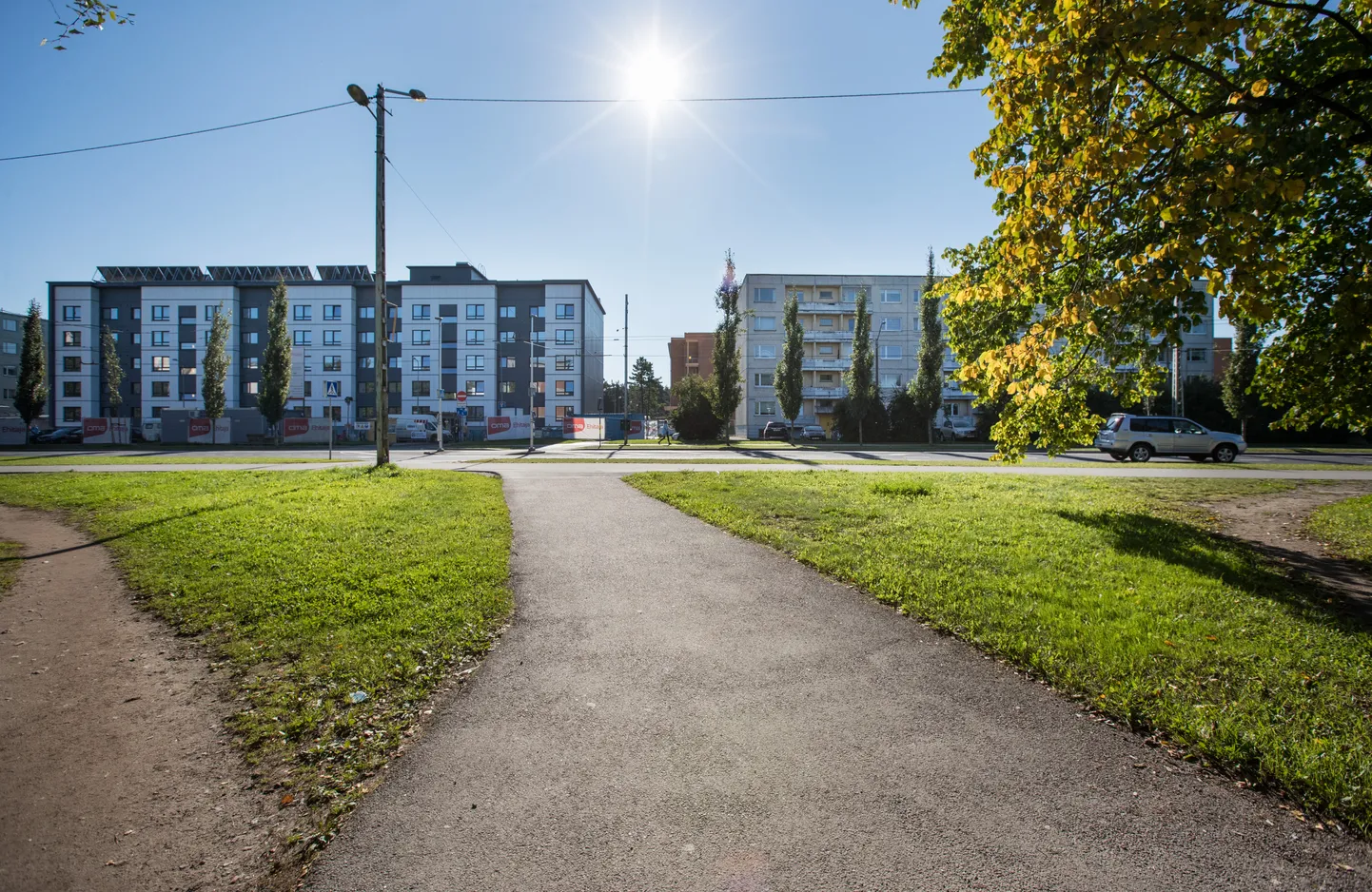 Фото статьи