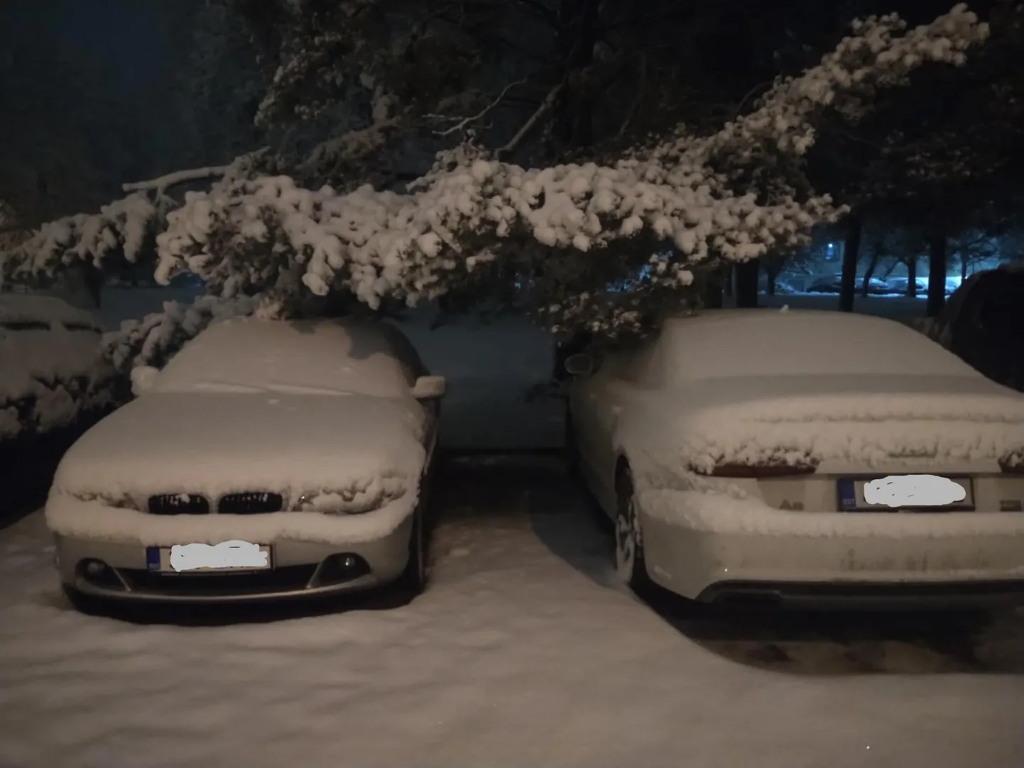 Lume all lookas oksad ohustasid Põlvas autosid.