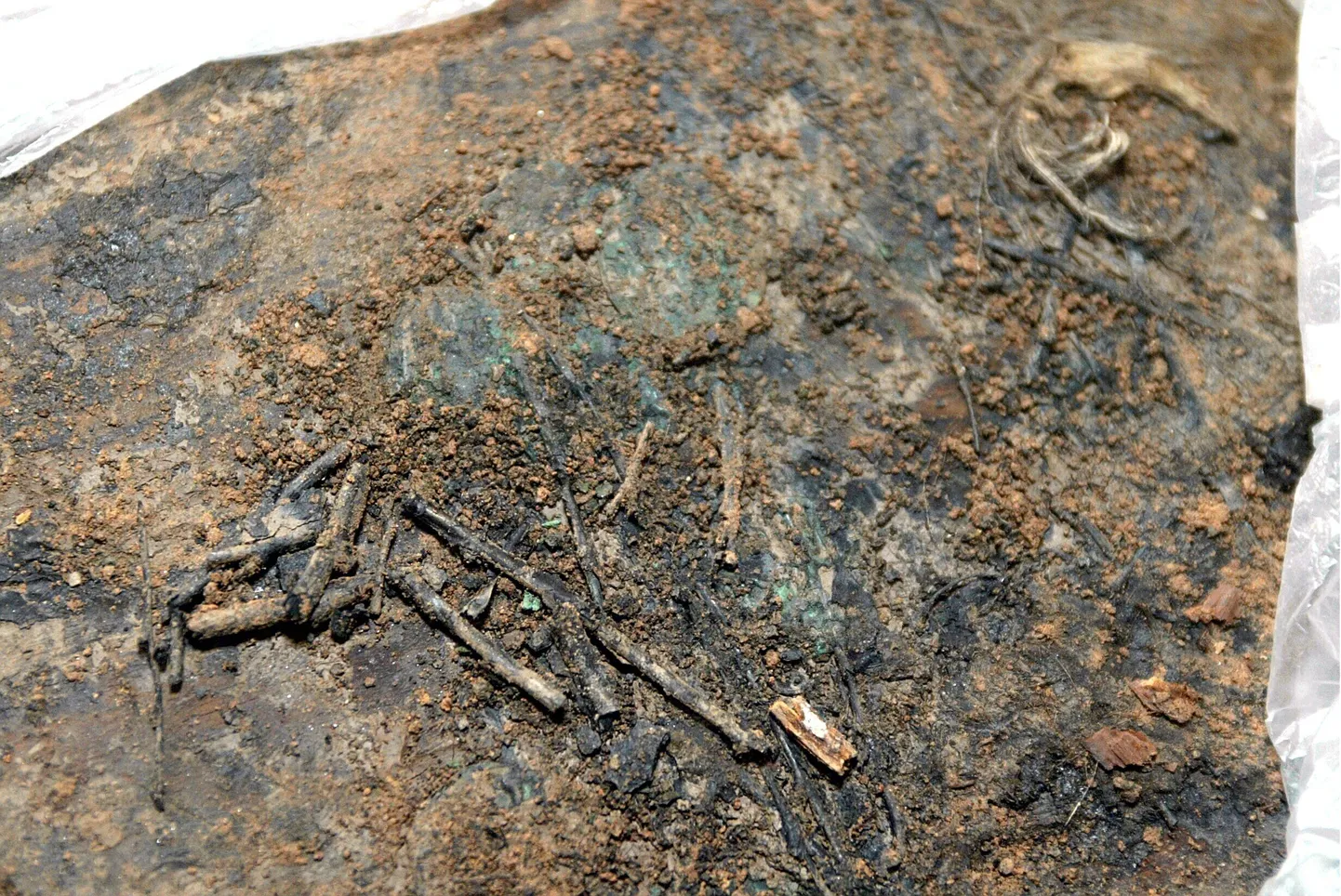 Arheoloogilised kaevamised.