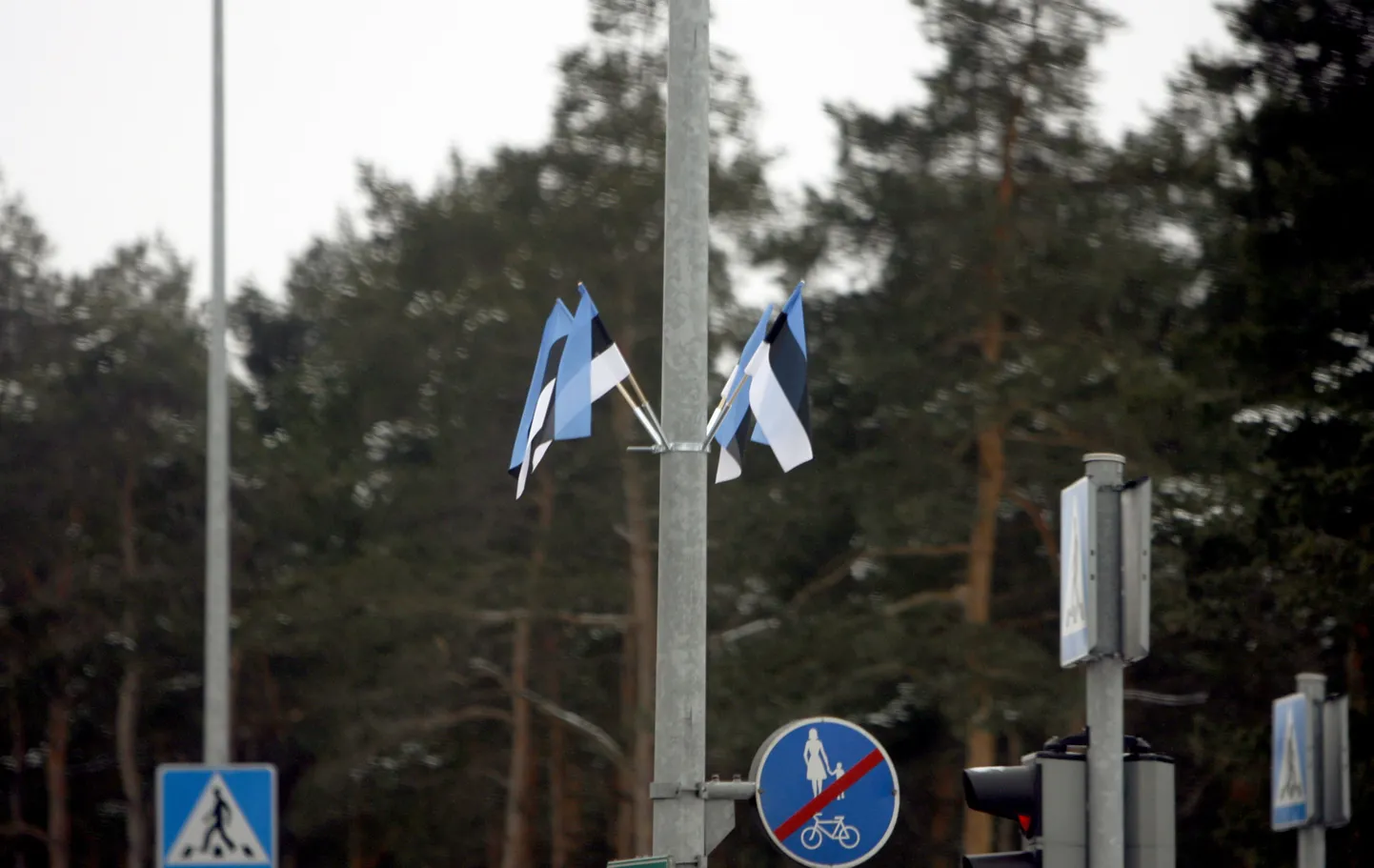 Nõmme linnaosavalitsus paigaldas vabariigi aastapäevaks tänavatele 1200 väikest rahvuslippu.