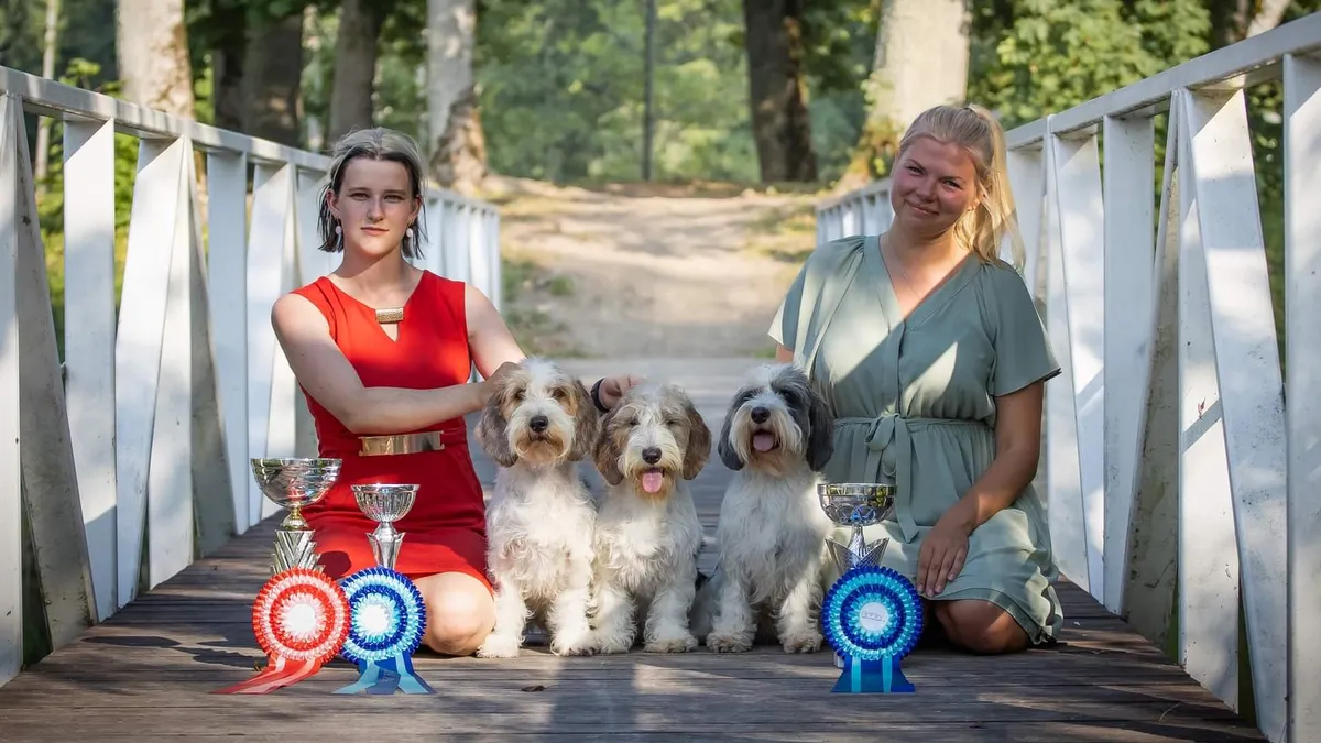 Pille Lipsoni koerad osalevad aktiivselt näitustel ja on seal edukad.