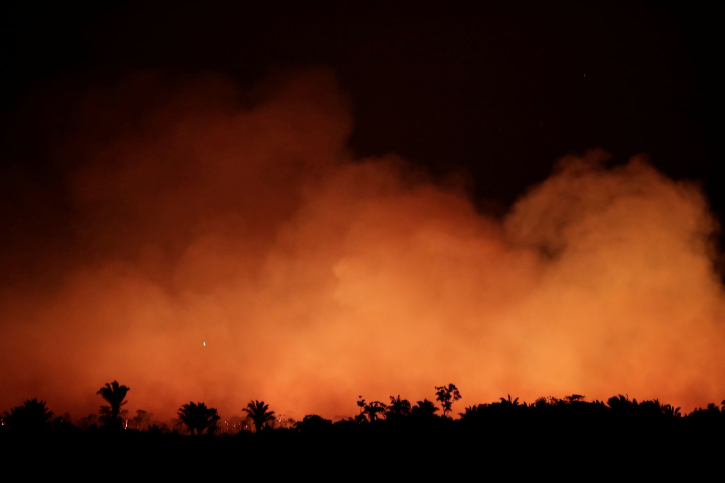 Põleng Brasiilias Amazonase osariigis Humaita lähedal asuvas vihmametsas