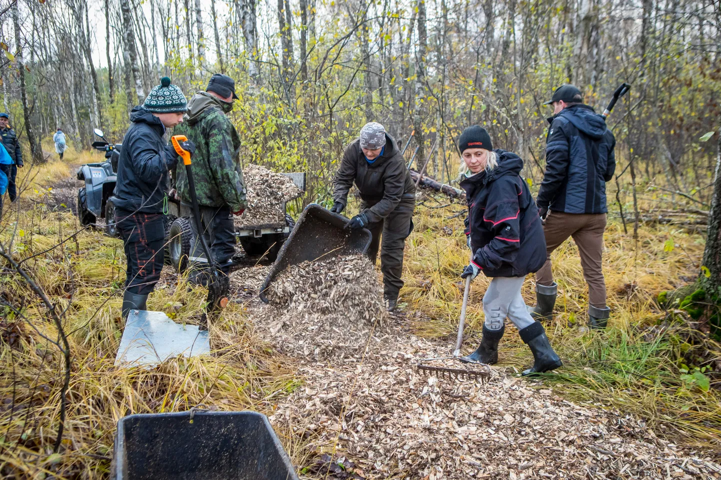 HOOGSAS RÜTMIS: Kiirelt ja korralikult taastasid talgulised Koigi raba vana matkarada.