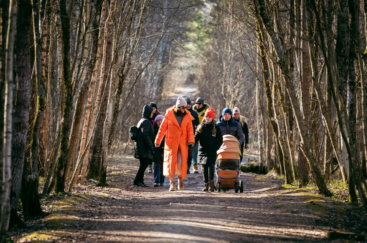 Mis oleks veel kaunim aastaaeg, mil metsades, rabades loodusest väge ammutada kui kevad?