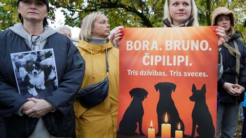 "Tu man skaties acīs un pēc tam nošauj manus suņus." Par ko runāja Bauskas protesta akcijas dalībnieki