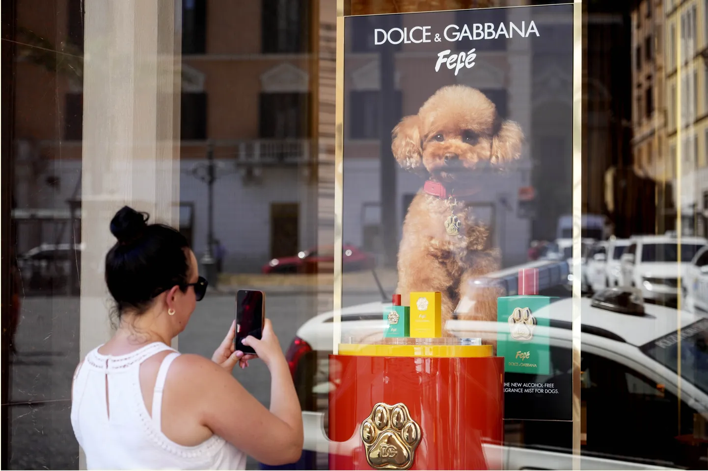 Uus Dolce ja Gabbana koerte parfüüm nimega "Fefe", on nimetatud Domenico Dolce koera auks ja mis tuli välja selle kuu alguses, on välja pandud moebrändi butiigi aknal Roomas, teisipäeval, 6. augustil 2024. Parfüüm on sertifitseeritud loomadele sobivaks vastavalt Itaalia "Safe Pet Cosmetics" protokollile, kuid mitte kõik veterinaarid ei nõustu koertele mõeldud lõhnade kasutamisega, kuna need võivad segada nende lõhnataju ja varjata halbu lõhnu, mis võivad olla mitmesuguste haiguste sümptomiks.
