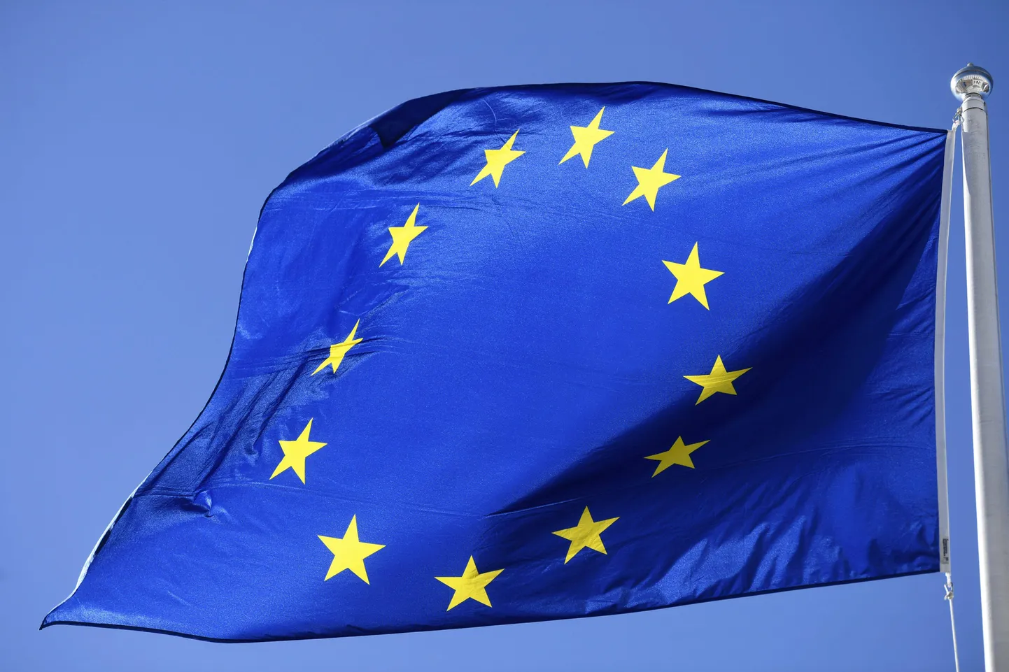 Euroopa Liidu lipp.