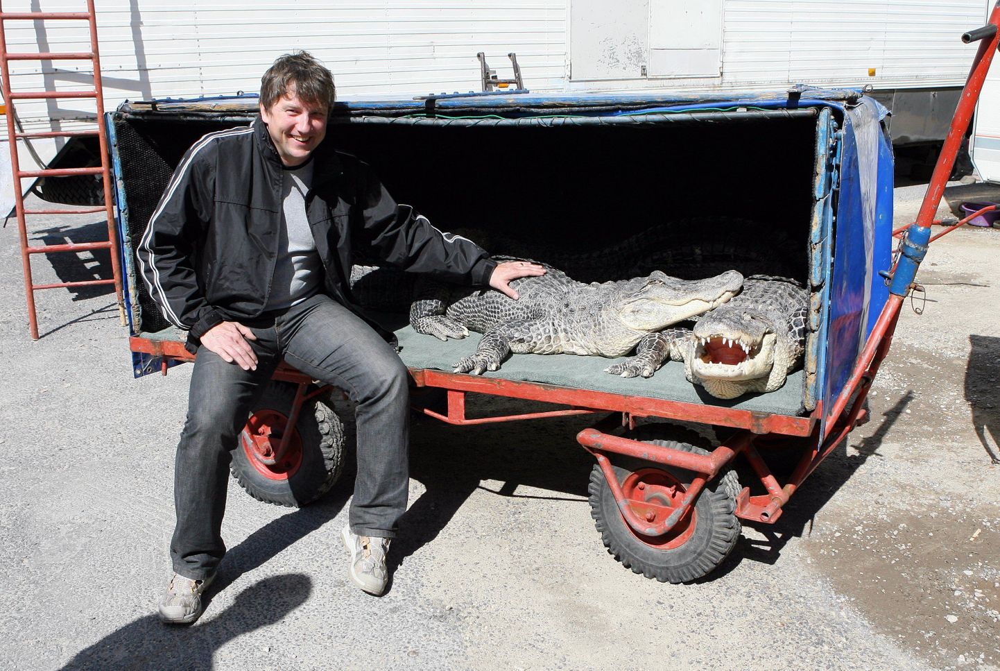 Pildil on tsirkuse korraldaja Lauri Viikna krokodilliga.