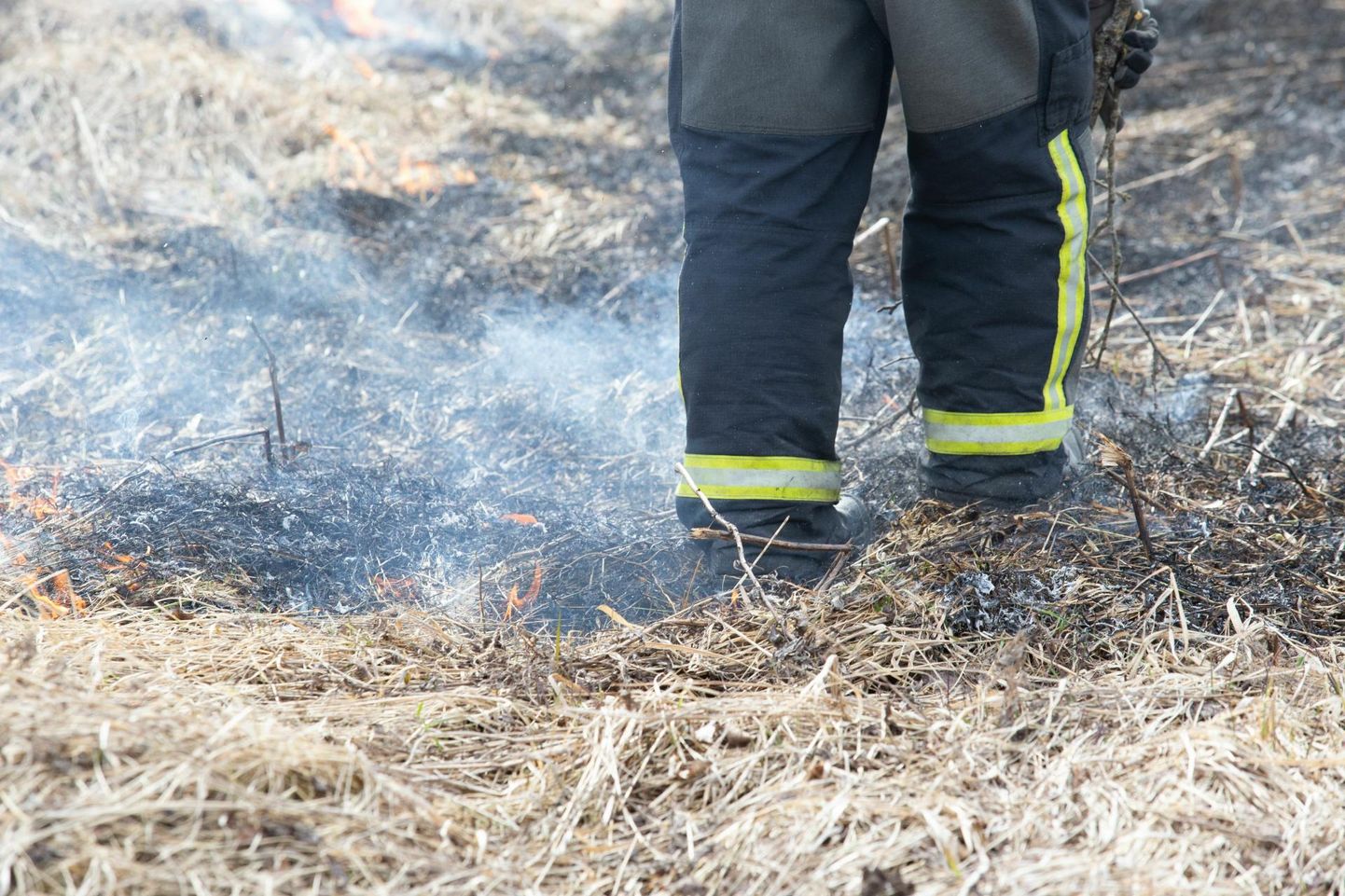 Спасатели потушили лесной пожар, направлявшийся к дому, за 20 минут. Фото иллюстративное.