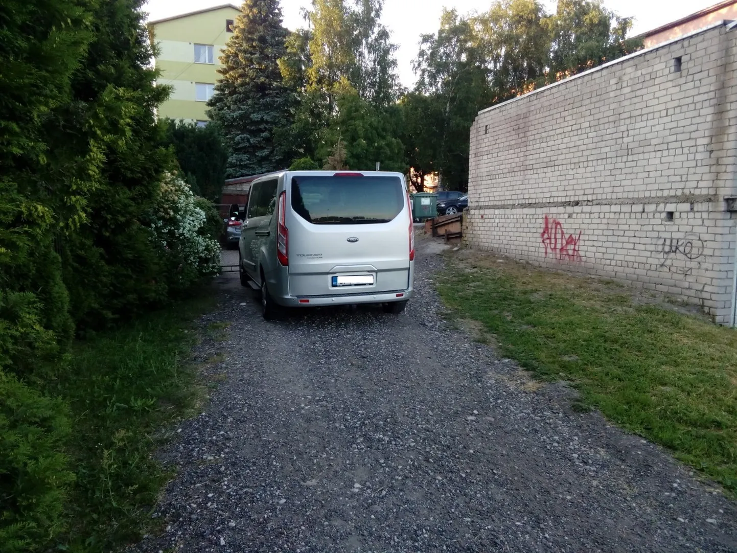 Artikli foto