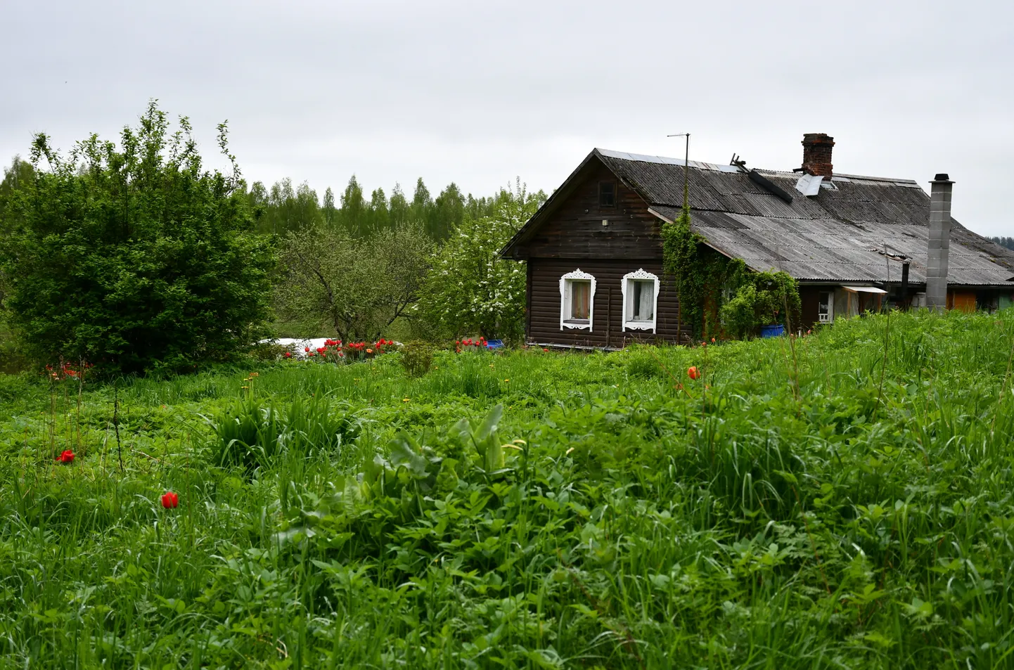 Lauku māja Slutišķu ciemā pie tūrisma objekta "Slutišķu gravu taka" Dabas parka "Daugavas loki" teritorijā.