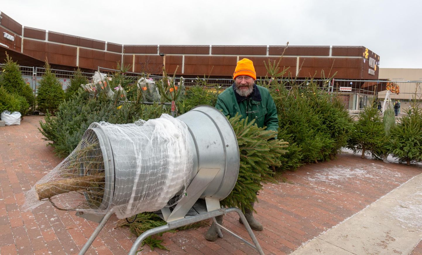 Uku keskuse juures jõulupuid müüv Endel Soosaar näitas, kuidas puu võrku pakitakse.