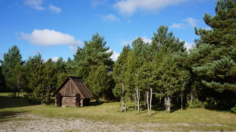 Rookatusega palkmaja ümber laiuv Saaremaa loodus.