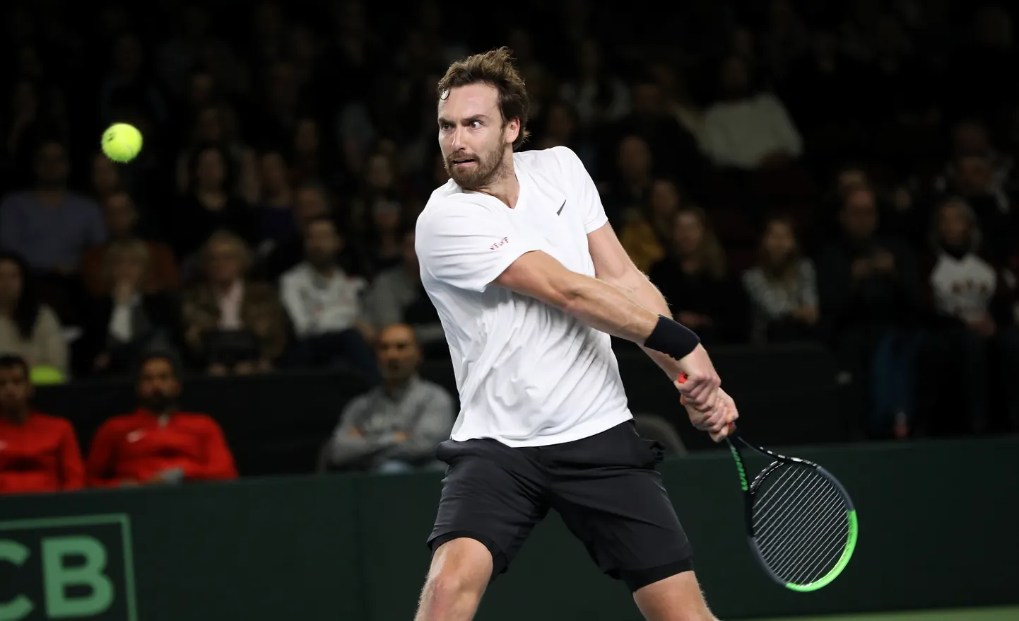Ernests Gulbis