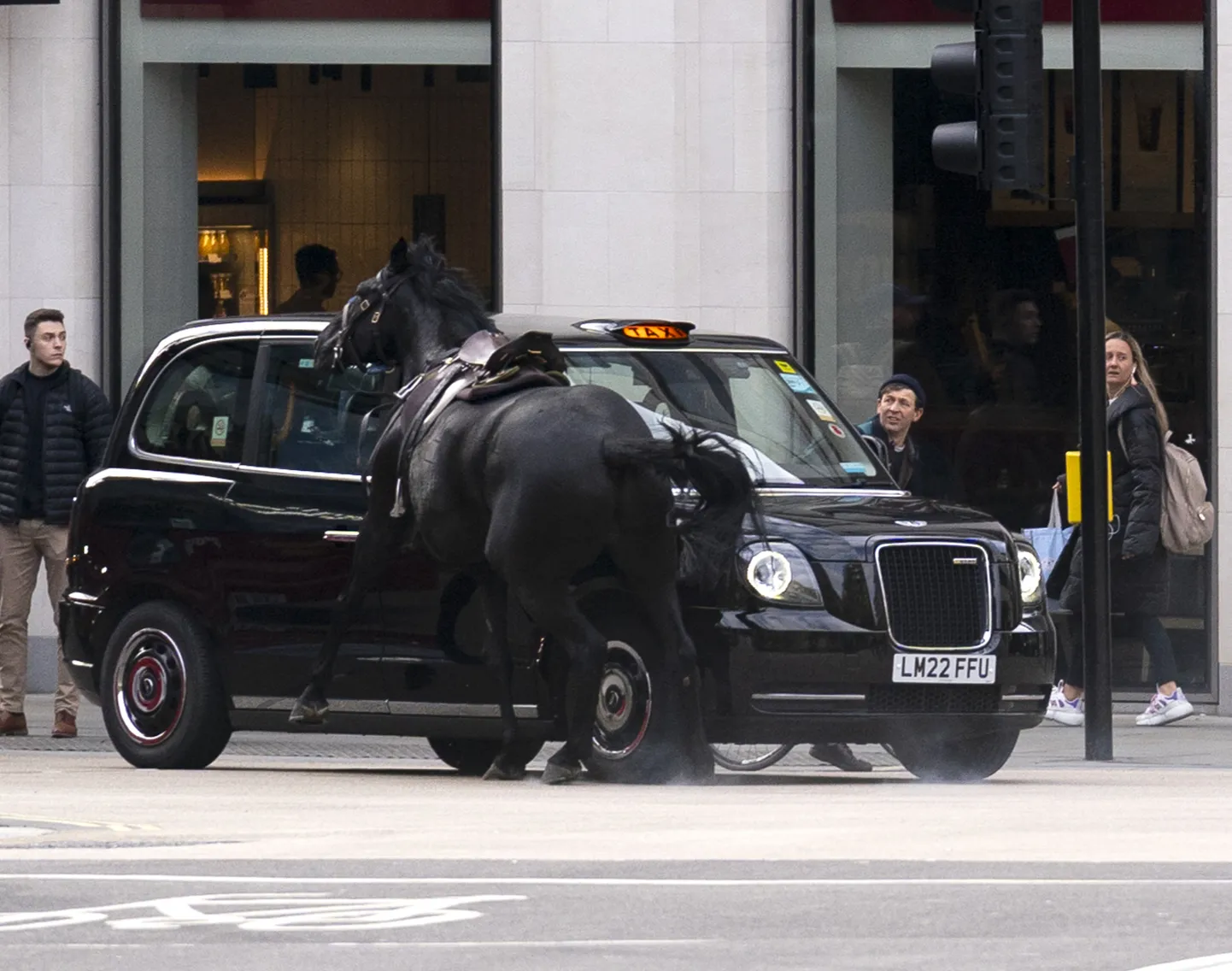 В Лондоне сбежали кавалерийские лошади. Одно из животных врезалось в лобовое стекло автобуса