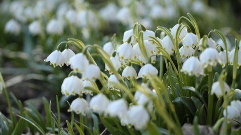 Pühapäevane ilm on muutlik