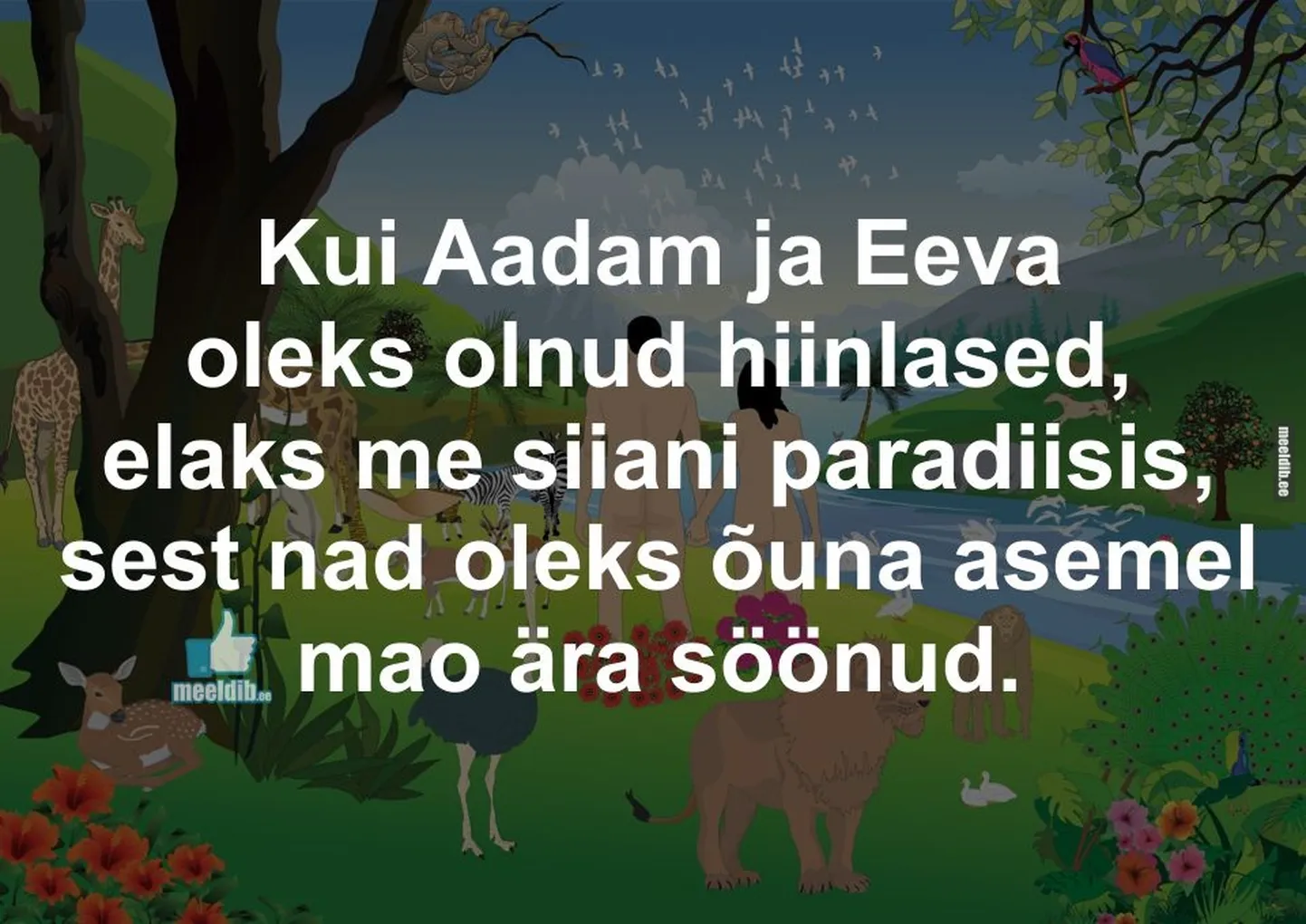 Artikli foto