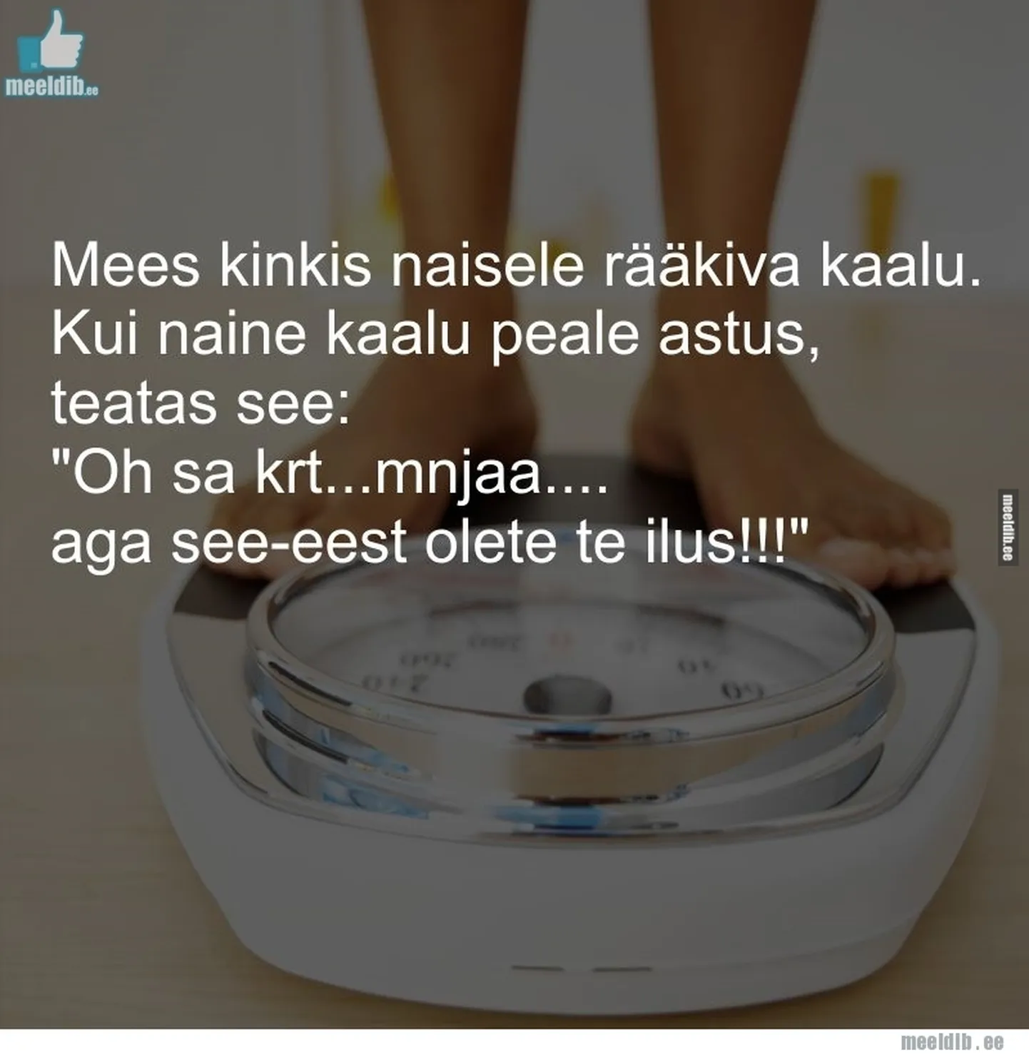 Artikli foto