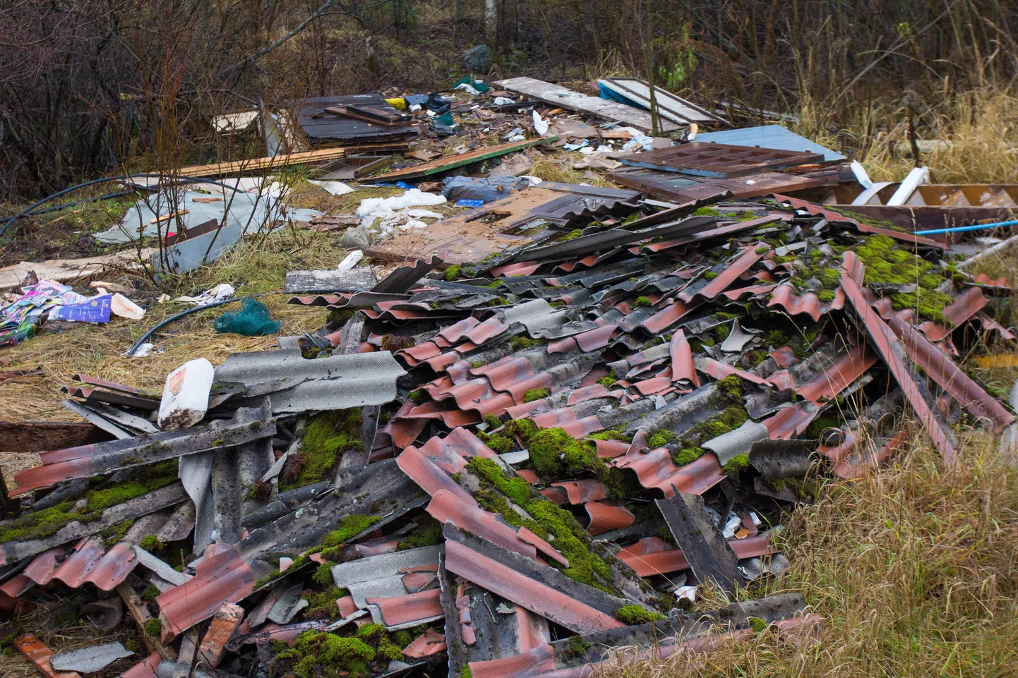 Eelmisest keskkonnaprogrammi taotlusvoorust toetati muu hulgas üheksat eterniidikogumisega seotud projekti, millega plaanivad taotlejad kokku likvideerida ligi 400 tonni eterniiti.