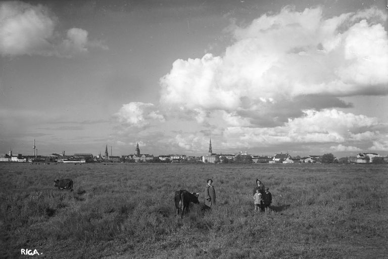 Pilsētas siena pļavas tagadējā Uzvaras parka teritorijā. 1920–1929. Foto: Voldemārs Šmidbergs.
