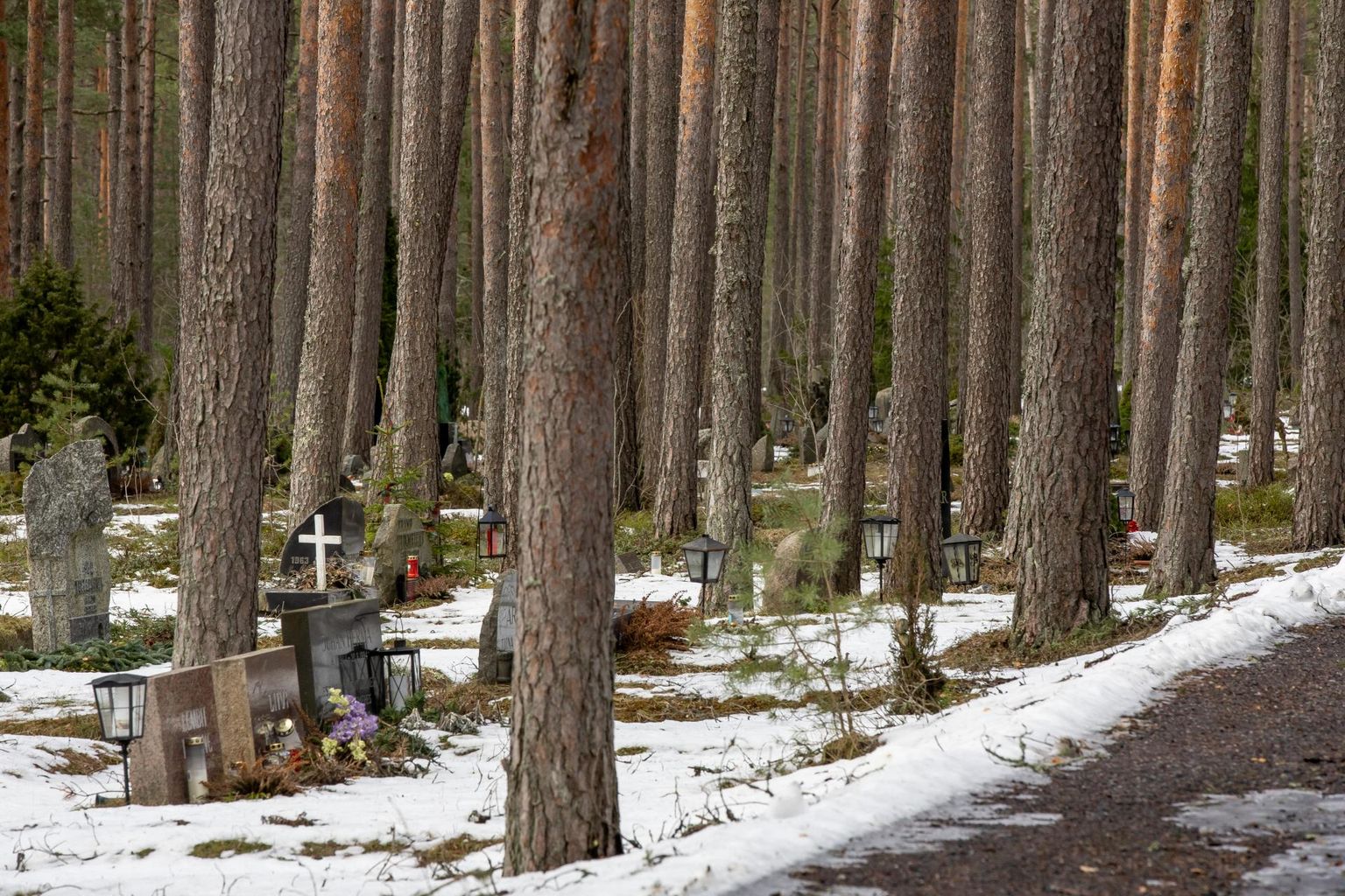 Metsatagavara sisse on arvatud ka näiteks osa Tallinna Metsakalmistust, suuremate kruntide kõrghaljastus jne, mistõttu on reaalsuses raiekõlblikku metsa veelgi vähem kui arvutuste järgi.