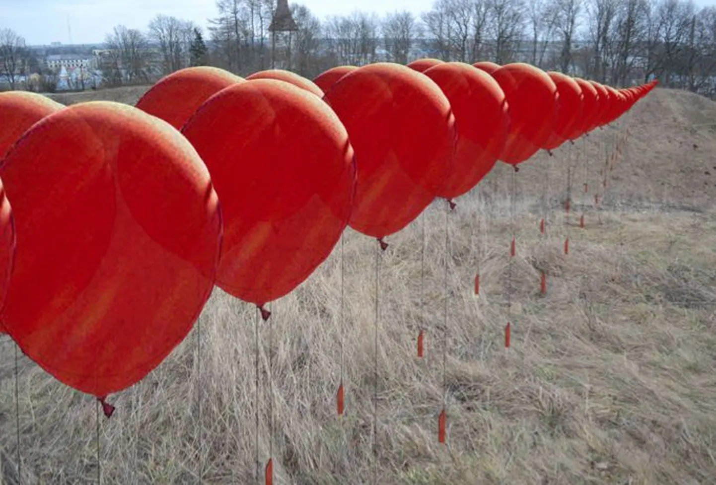 Tomi ja Vesa Humalisto «The Thin Red Line».