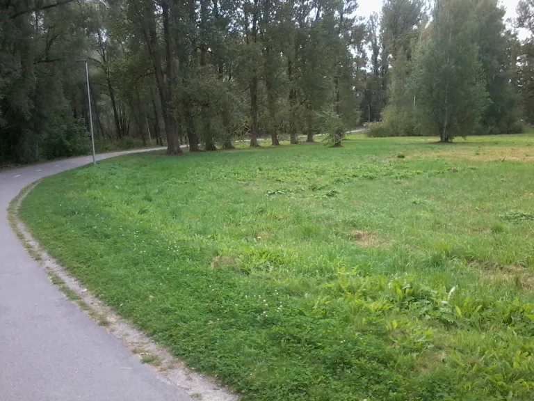 Puhtad teeservad.