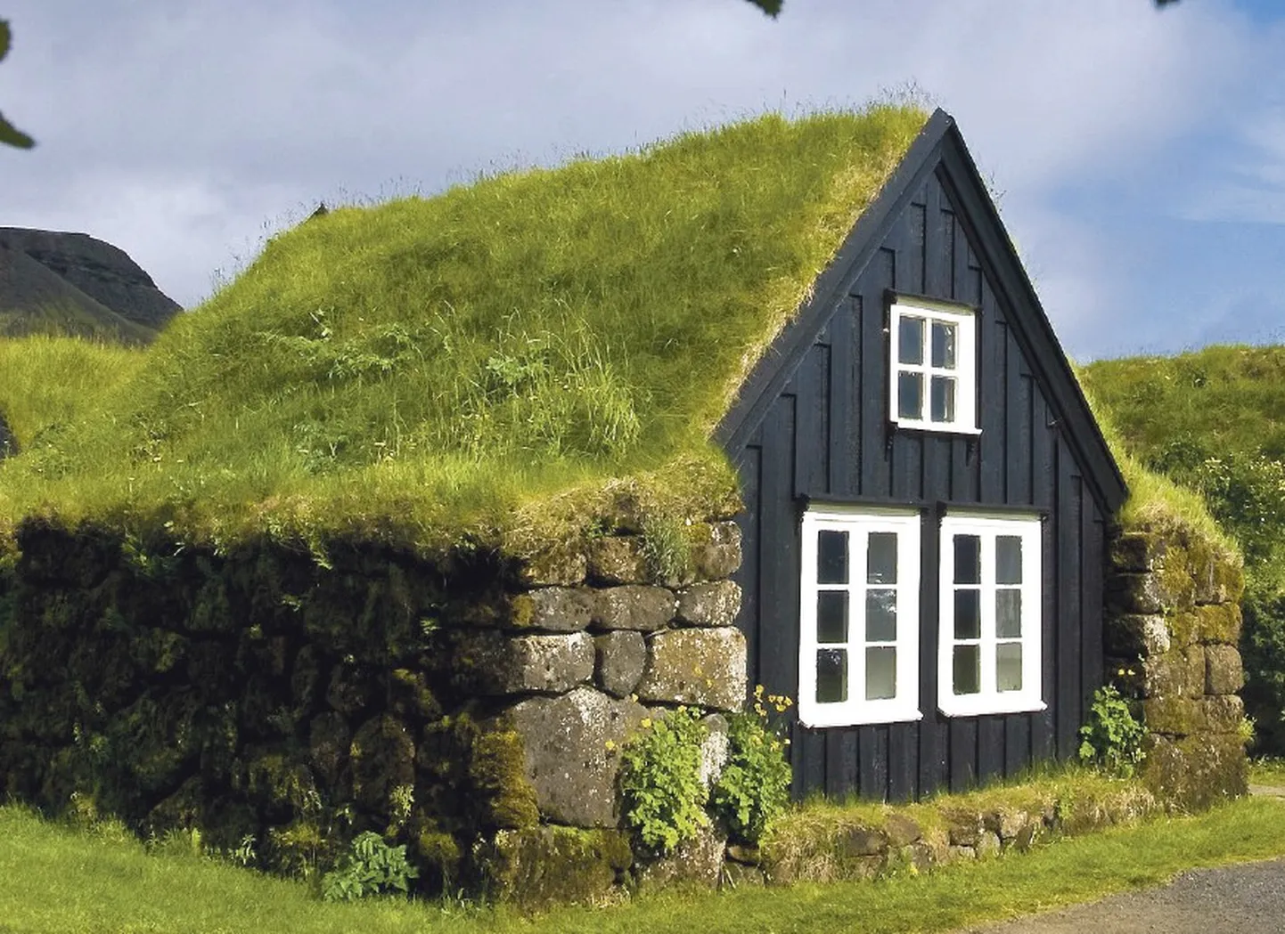 Murukatused on populaarsed põhjamaades, eriti Islandil ja Fääri saartel. Kuid ka Eestis võib murukatuseid rajada, arvestades seejuures meie kliima eripärasid.