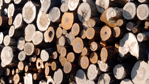 В Финляндии резко подскочили цены на дрова